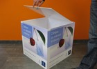 Oslikana kutija sa poklopcem na otvaranje